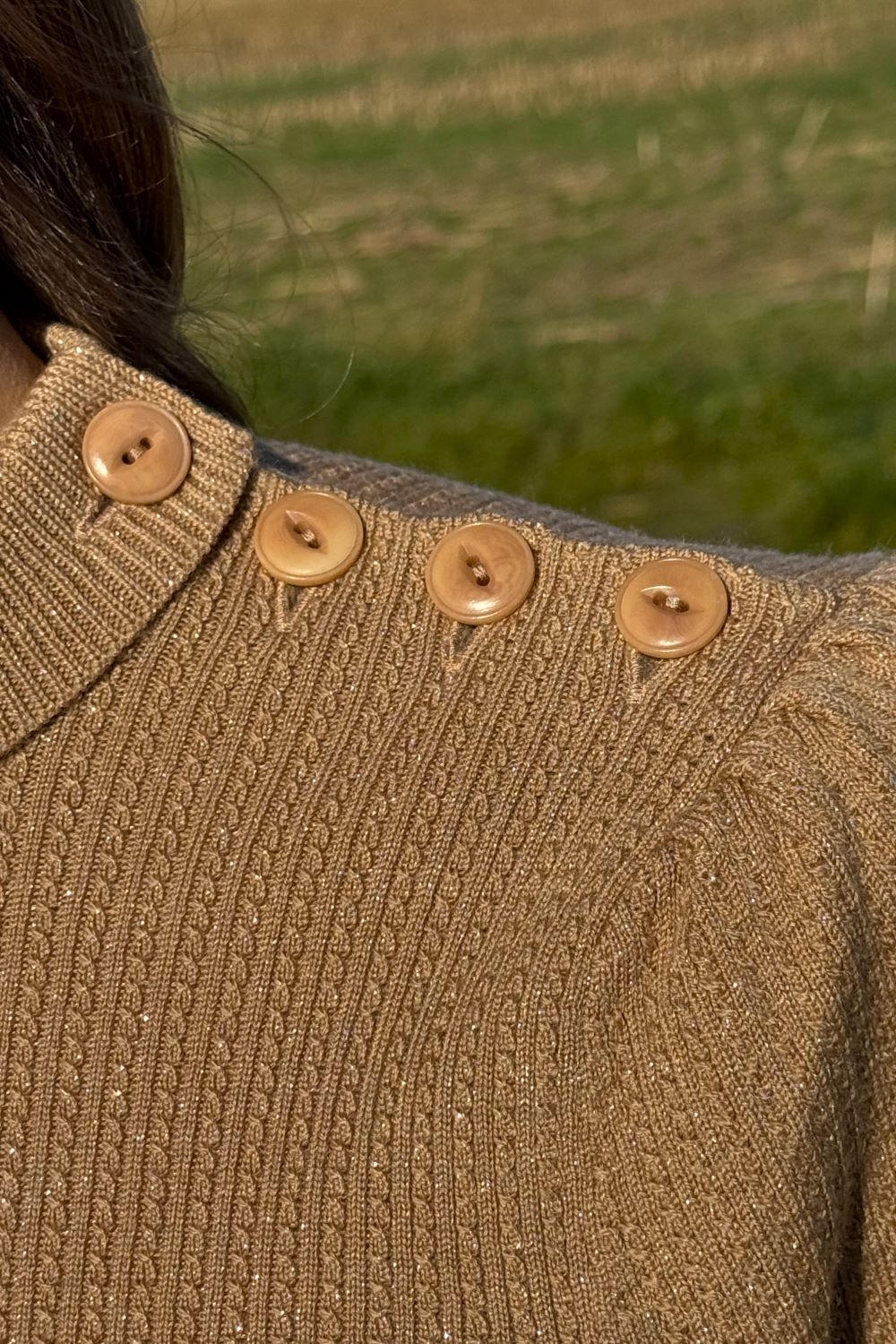 The Top Drawer Top, Shimmery Champagne Wool