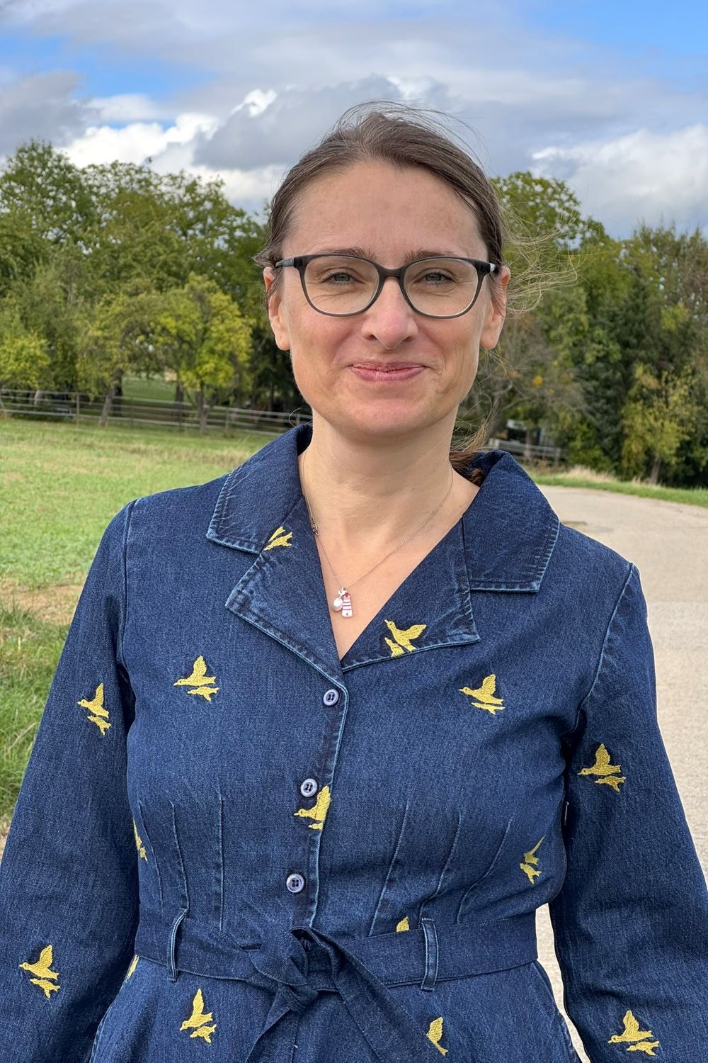 Jeanskleid, Duck Embroidery - besticktes Denim-Kleid langarm mit Vogel-Motiv