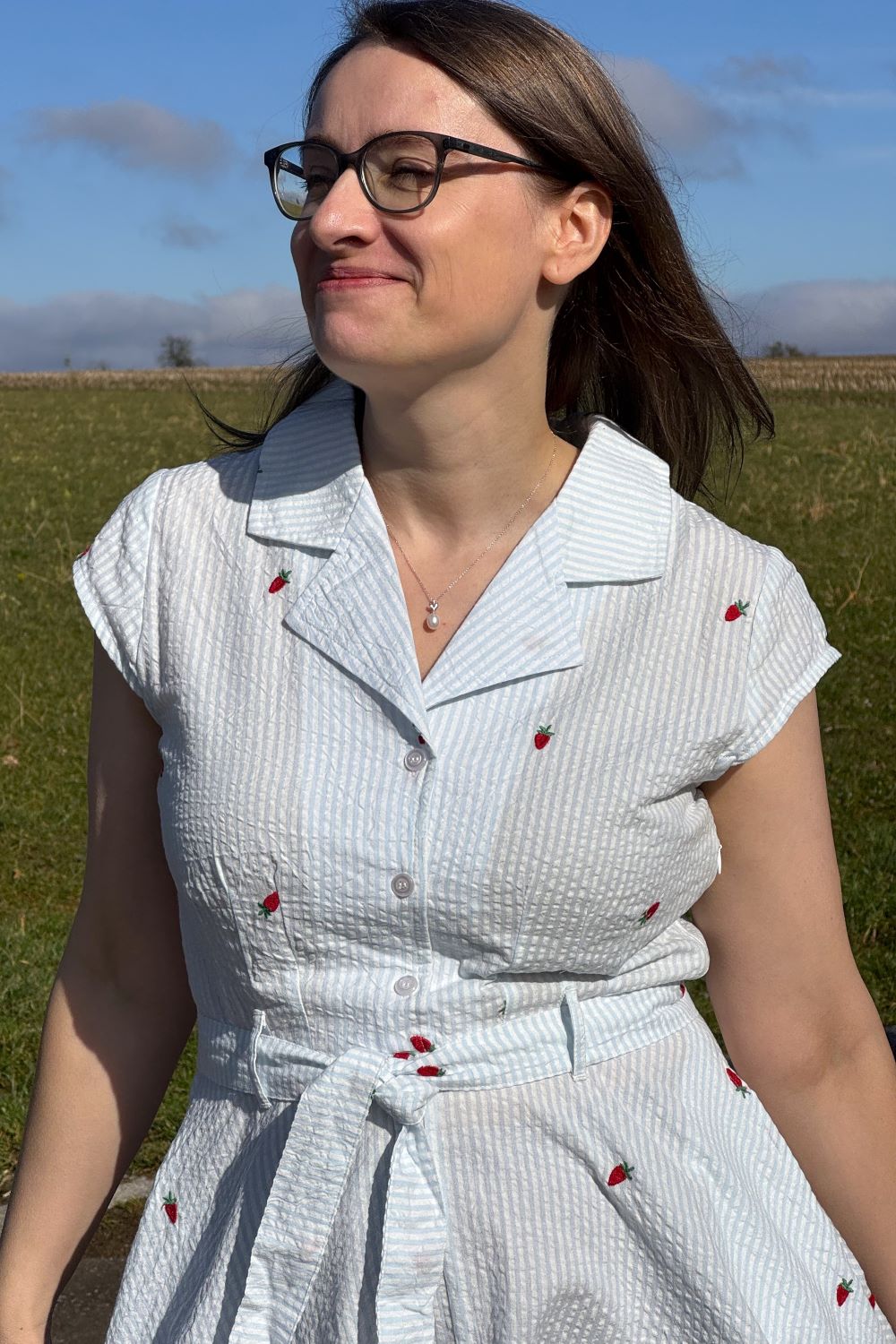 gestreiftes Kleid, Berries Embroidery