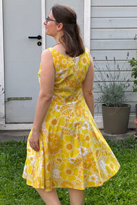 Kleid Saga, Nyfiken